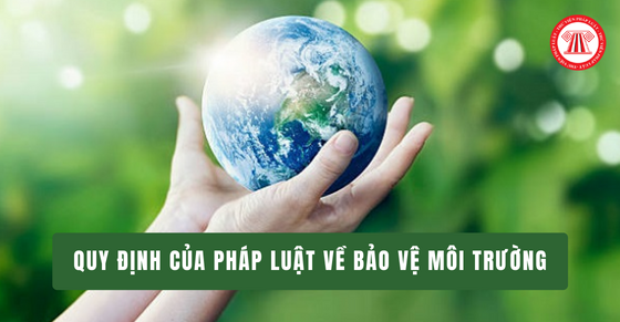 quy dinh ve luat bao ve moi truong